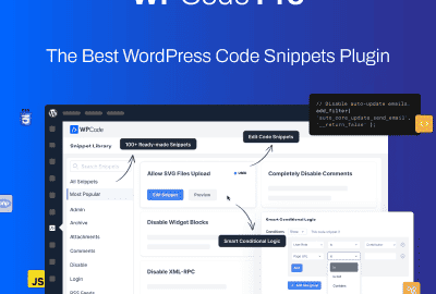 WPCode Pro