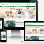 Theme WordPress – Đông y