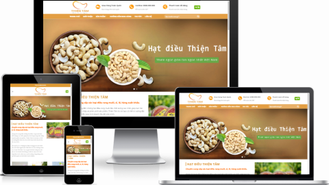 Theme WordPress - Bán hạt điều, thực phẩm 02