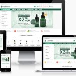 Theme WordPress – Mỹ phẩm 10