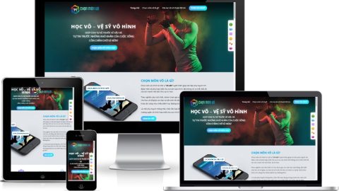 Theme WordPress Landing page - Giới thiệu lớp học võ thuật