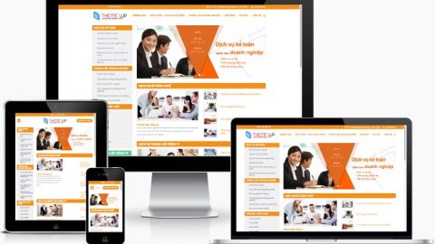 Theme WordPress công ty dịch vụ kế toán 02