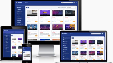 Theme WordPress - Bán plugin, theme